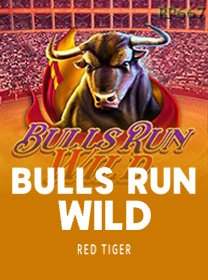 Bulls Run Wild game cover